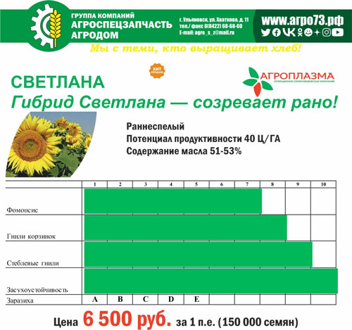 семена подсолнечника