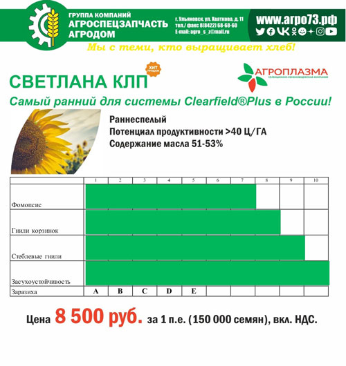 семена подсолнечника