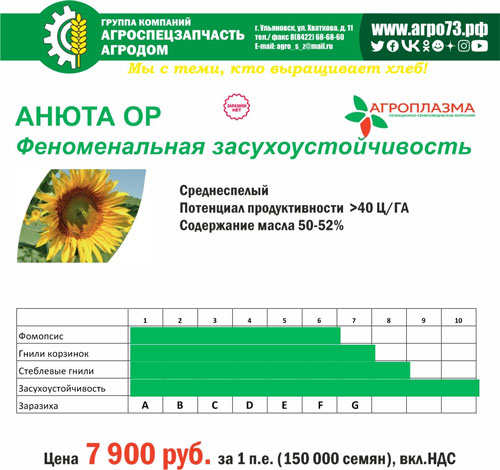 Гибрид экстенсивного типа АНЮТА ОР СРЕДНЕСПЕЛЫЙ
