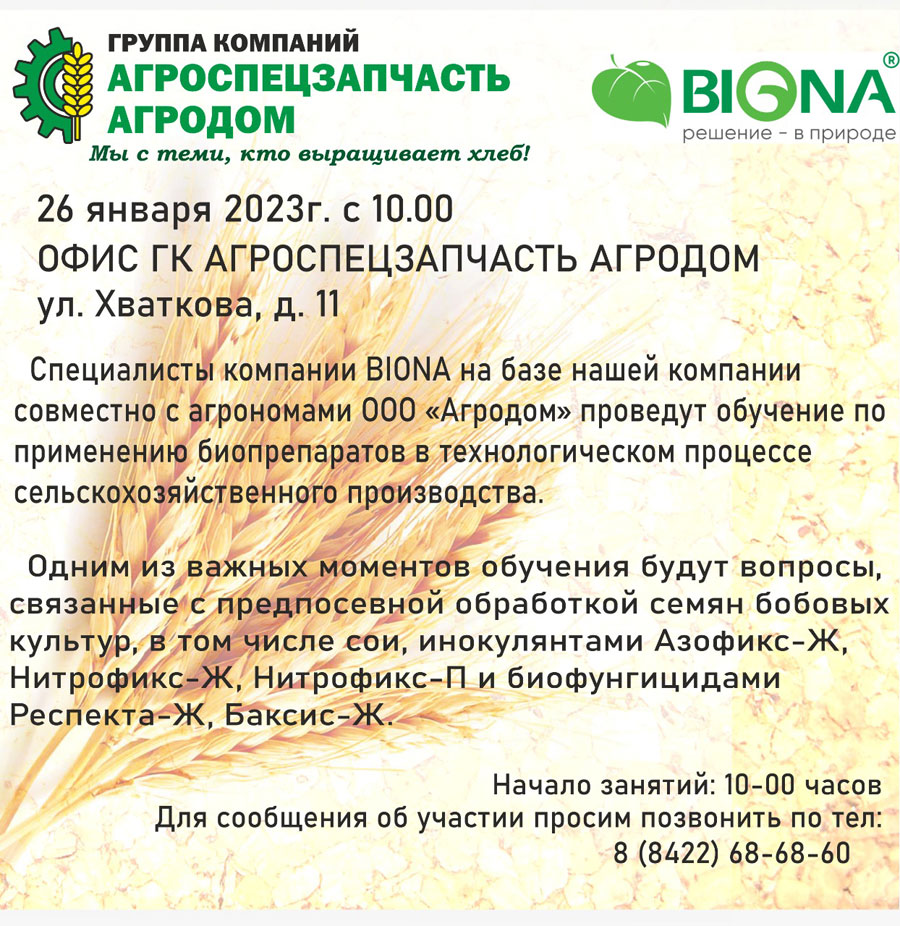 Семена подсолнечника Pioneer